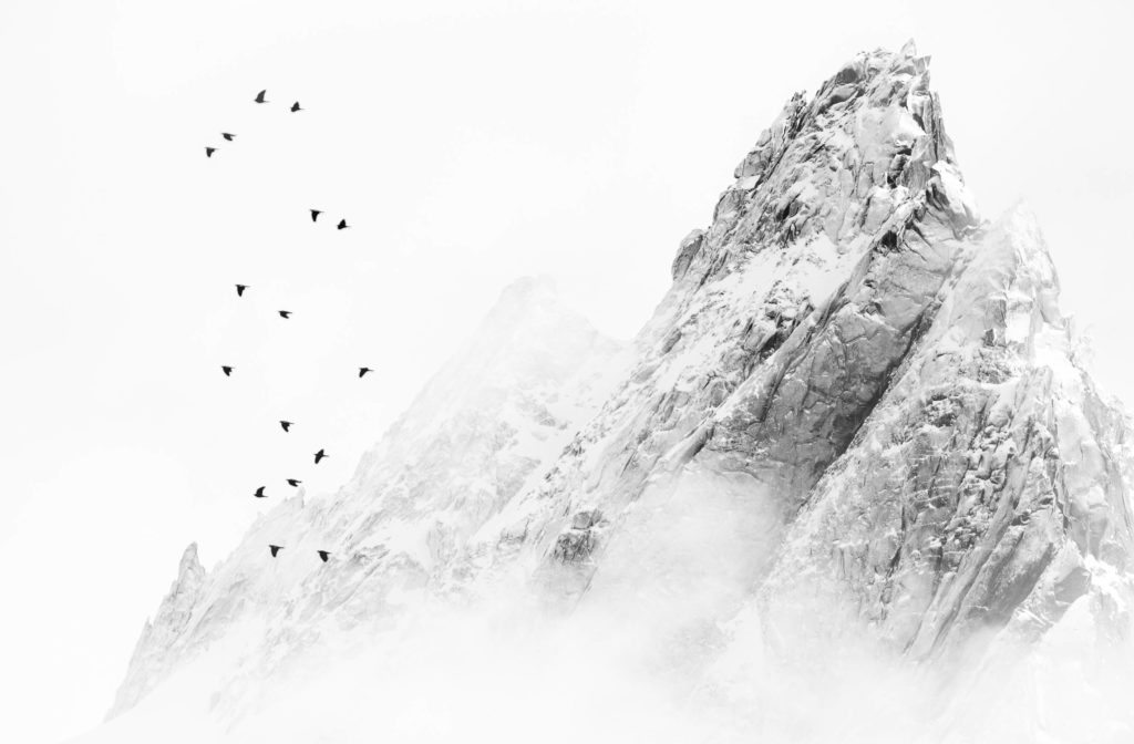 Palombes devant l&rsquo;Aiguille de Blaiti&egrave;re massif du Mont-Blanc noir et blanc &ndash; photo Alexandre Deschaumes
