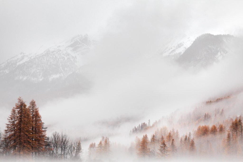 melezes serre chevalier hautes alpes automne brume montagne