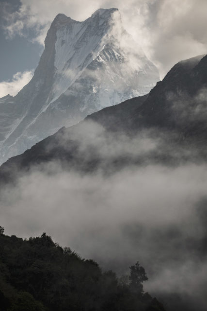 Vers le Machapuchare machapuchare-nepal-himalaya-montagne-portrait