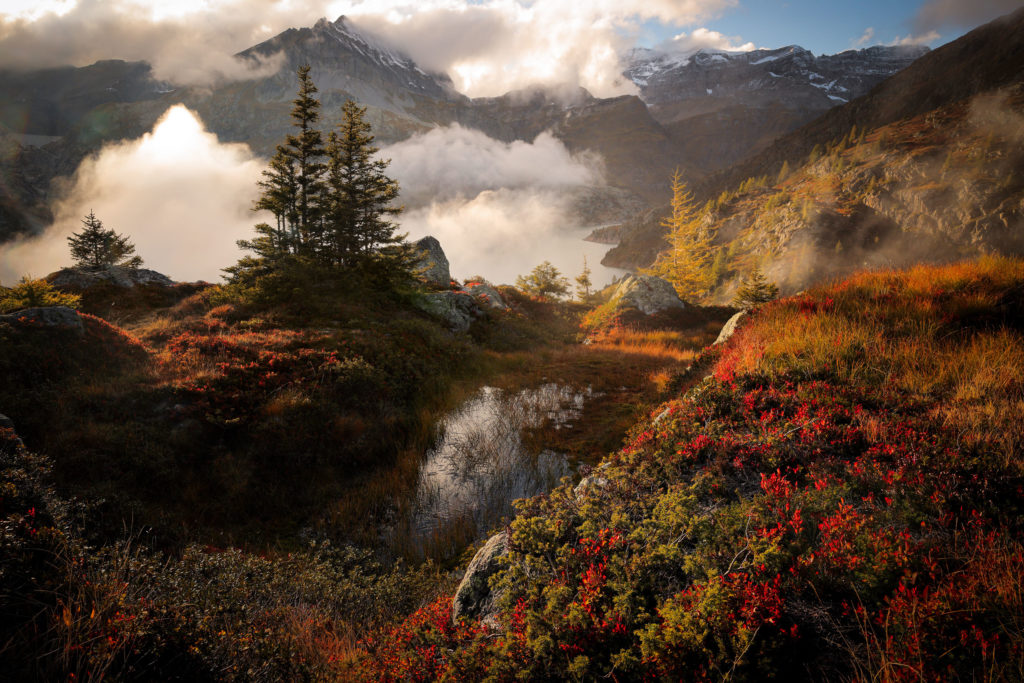 Ambiance automnale au-dessus du lac d&rsquo;&Eacute;mosson, Valais suisse, avec myrtilliers rouges, Tenneverge et Pointe de la Finive dans le massif du Haut Giffre