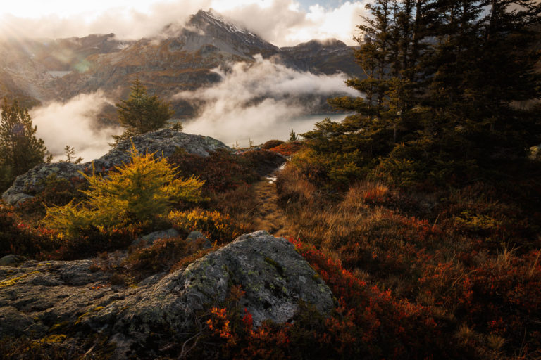 Sentier parmi les myrtilliers rouges, les m&eacute;l&egrave;zes dor&eacute;s et les &eacute;pic&eacute;as, &agrave; 2000 m d&rsquo;altitude pr&egrave;s du lac d&rsquo;&Eacute;mosson, avec la Pointe de la Finive dans la brume. Photographie Alexandre Deschaumes.