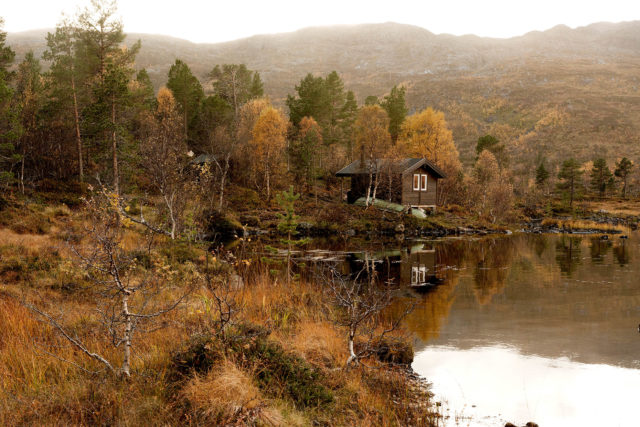 Cabane foresti&egrave;re au bord d&rsquo;un plan d&rsquo;eau dans la vall&eacute;e d&rsquo;Anderdalen, pr&egrave;s d&rsquo;Andervatnet, &agrave; Senja