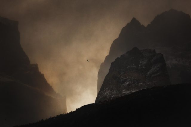 Condor devant les Cuernos Chili - Patagonie condor cuernos patagonie sombre