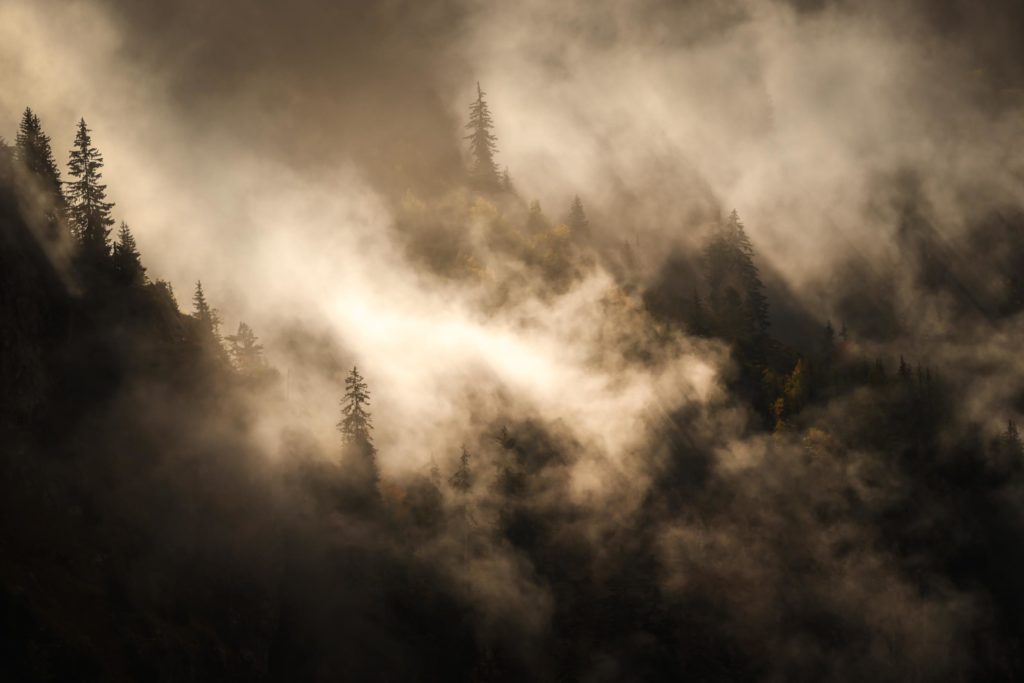 Brume mystique et perc&eacute;e de lumi&egrave;re sur les for&ecirc;ts profondes du massif de Pormenaz, Haute-Savoie, automne 2021. Photographie d&rsquo;Alexandre Deschaumes.