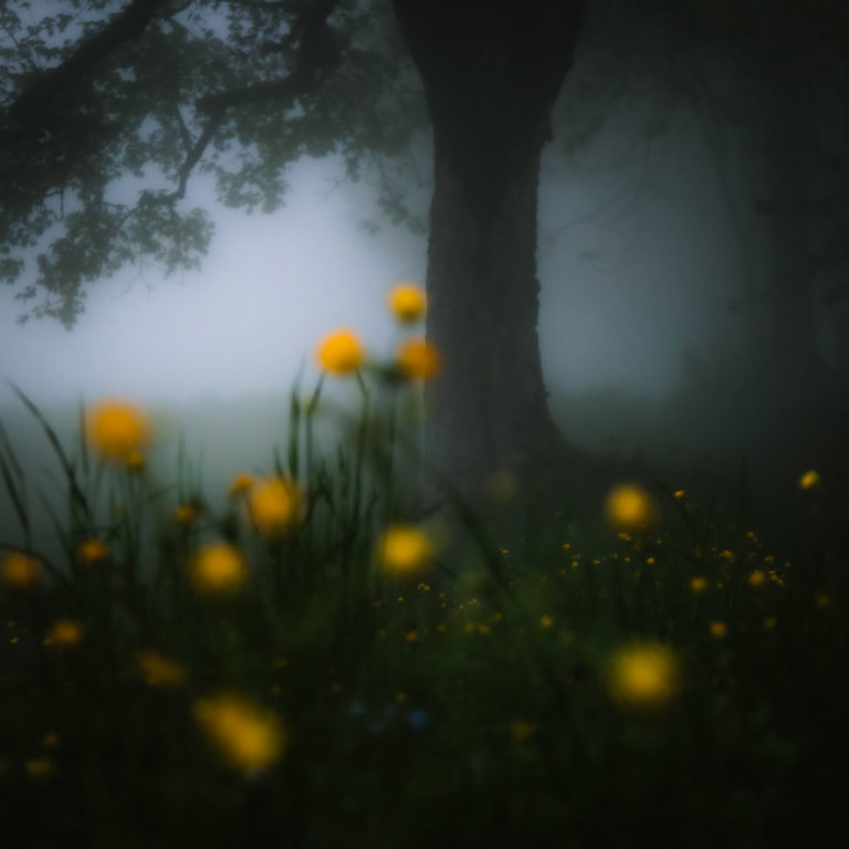 feature_0047