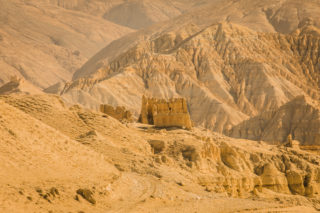 Mustang_8707 Mustang_8707