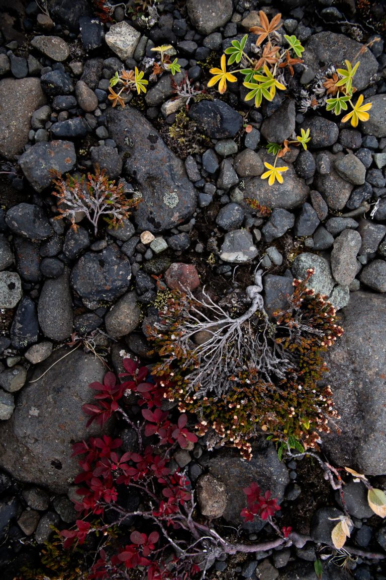 islande texture