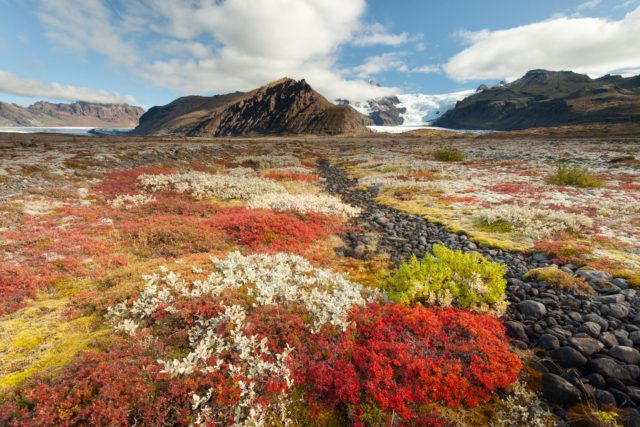 islande skaftafel